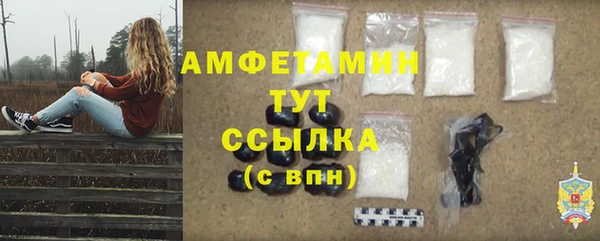 крисы Вязьма