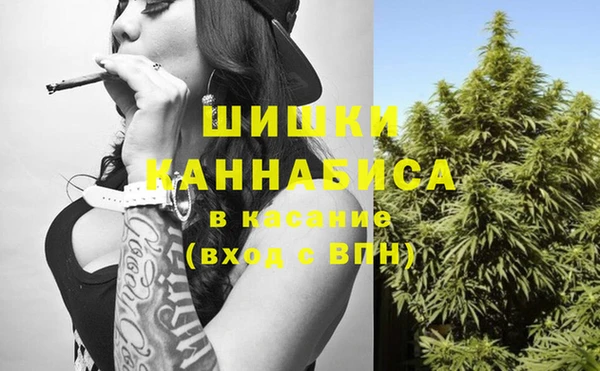 крисы Вязьма