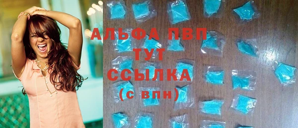 крисы Вязьма
