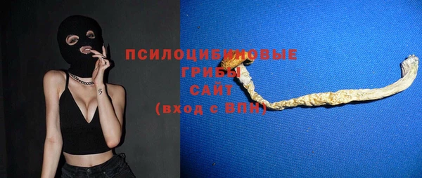 крисы Вязьма