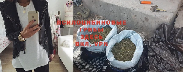 прущая мука Вяземский