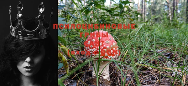 прущая мука Вяземский
