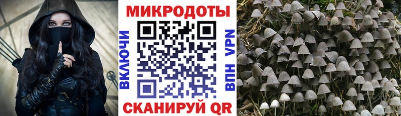 Псилоцибиновые грибы прущие грибы  Северск 